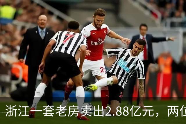 浙江一套老房卖出2.88亿元，两位买家血拼5小时，每分钟加价7位数